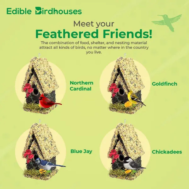 Edible Bird Feeder - Light Roof Tall Birdhouse