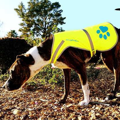 Urban Dog Reflective Vest L Size Fluorescent Hi Visibility Dog Jacket Yellow