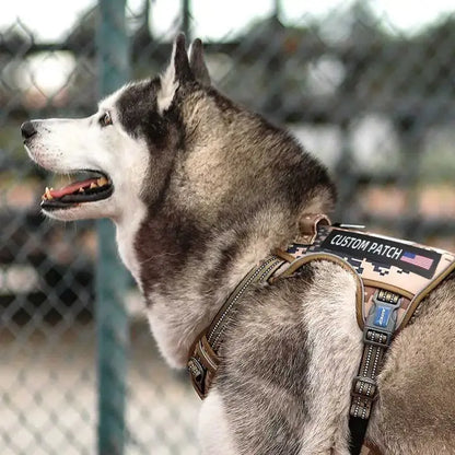 【#Summervibes #Petlovers】Custom Patches, Dog Vest Patchesservice Dog in Training Patches, Reflective and Removabledog Harness Patches for Service Dog Vest